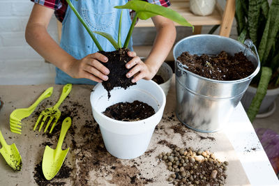 Midsection of woman picking plants