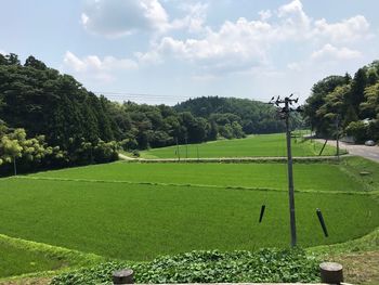 Trees on field against sky