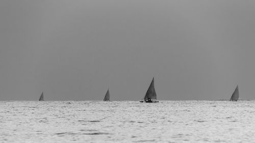 Sailboat sailing on sea against clear sky