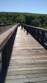 Boardwalk amidst trees