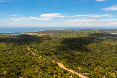 Landscape with lake and tropical jungle forest.national park, sri lanka.