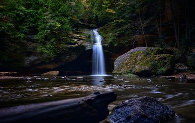 Scenic view of waterfall in forest