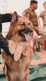 Portrait of dog with people at home