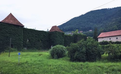 Scenic view of field by buildings against sky