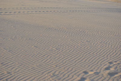 High angle view of sand dune