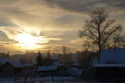 Bare trees against houses during winter