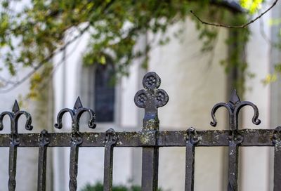 Close-up of metal gate against trees