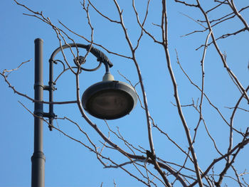 Low angle view of street light against sky