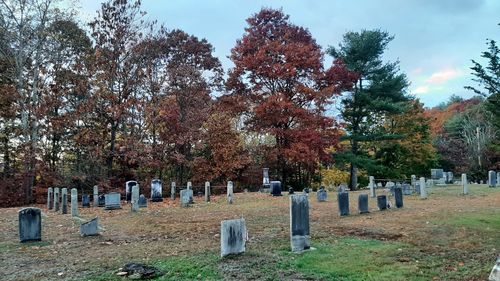 cemetery