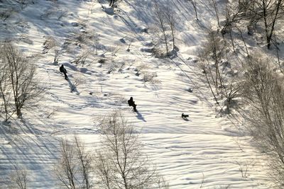 Birds swimming in water during winter