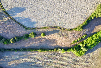 High angle view of agricultural field