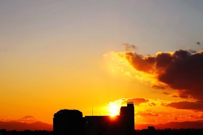 Silhouette of trees at sunset