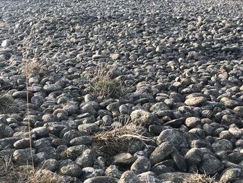 High angle view of stones on beach