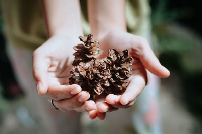 Midsection of woman holding pine cone