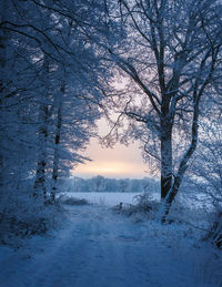 Dawn in the winter in northern germany 