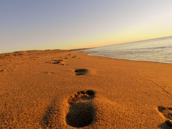 Scenic view of beach against clear sky