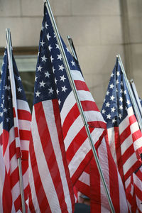 Close-up of flags