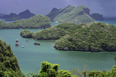 High angle view of bay and trees against sky