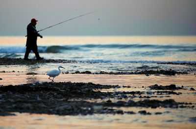Man fishing in sea during sunset