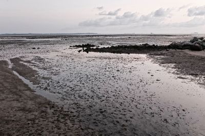 Scenic view of beach against cloudy sky