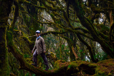 Low angle view of man standing in forest