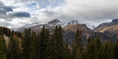 Low angle view of trees and mountains against cloudy sky