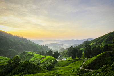 Scenic view of agricultural landscape against sky