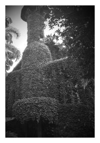 Low angle view of trees on landscape