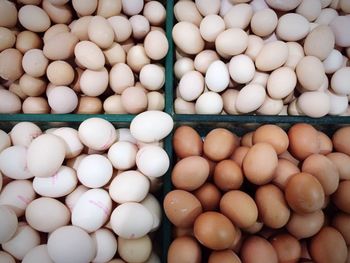 Full frame shot of eggs for sale at market stall