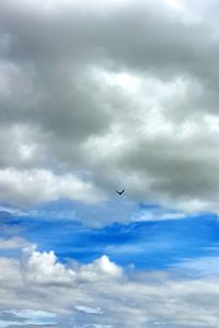 Low angle view of birds flying against cloudy sky