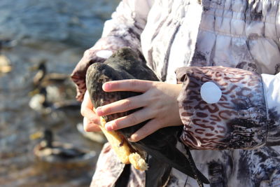 Cropped image of woman holding bird