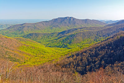The green of spring starting to move up the mountains in shenandoah national park in virginia