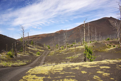 Landscape against sky