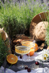 Summer picnic on a lavender field with champagne glasses and fruits