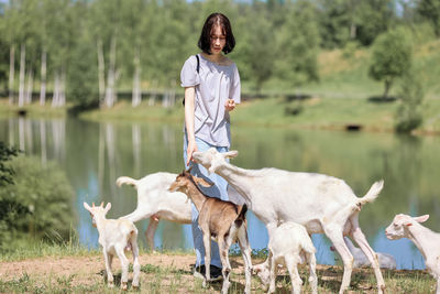 Girl feeds and plays with goats on a farm