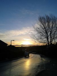 Road along trees at sunset