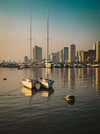 Sailboats in marina at harbor against clear sky