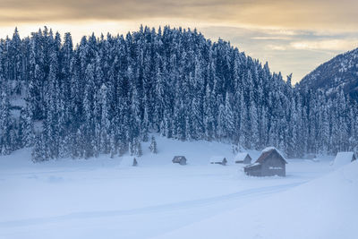 Snow covered land and trees against sky