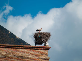 Low angle view of bird perching on roof against sky