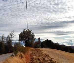 Trees on landscape against sky