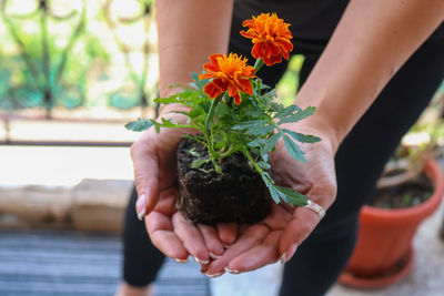 Midsection of woman holding flowers