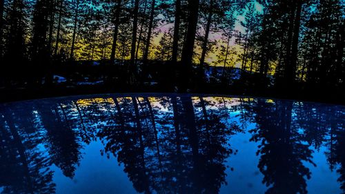 Silhouette trees in forest during winter