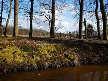 Scenic view of river in forest against sky