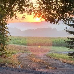 Scenic view of field against sky during sunset