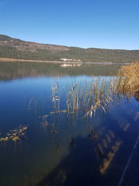 Scenic view of lake against clear blue sky