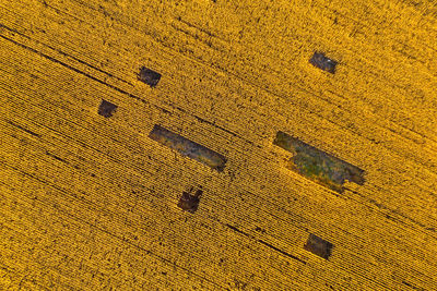 High angle view of footprints on sand