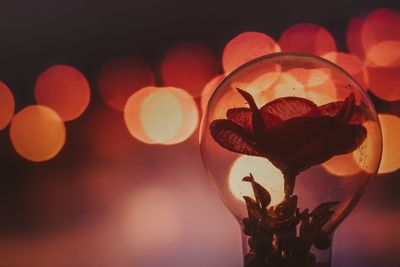 Close-up of illuminated lights on glass