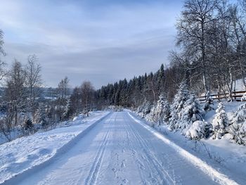 Snow covered road amidst trees against sky during winter