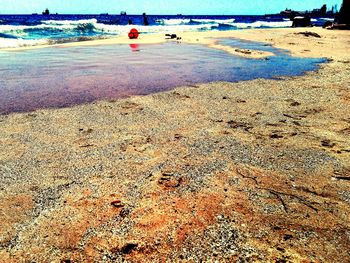 Scenic view of beach