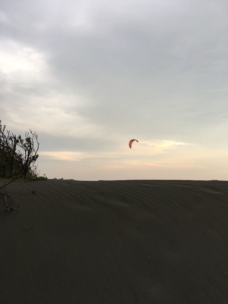 sky, nature, sunset, one person, mid-air, parachute, adventure, extreme sports, outdoors, real people, sport, paragliding, beauty in nature, day, people